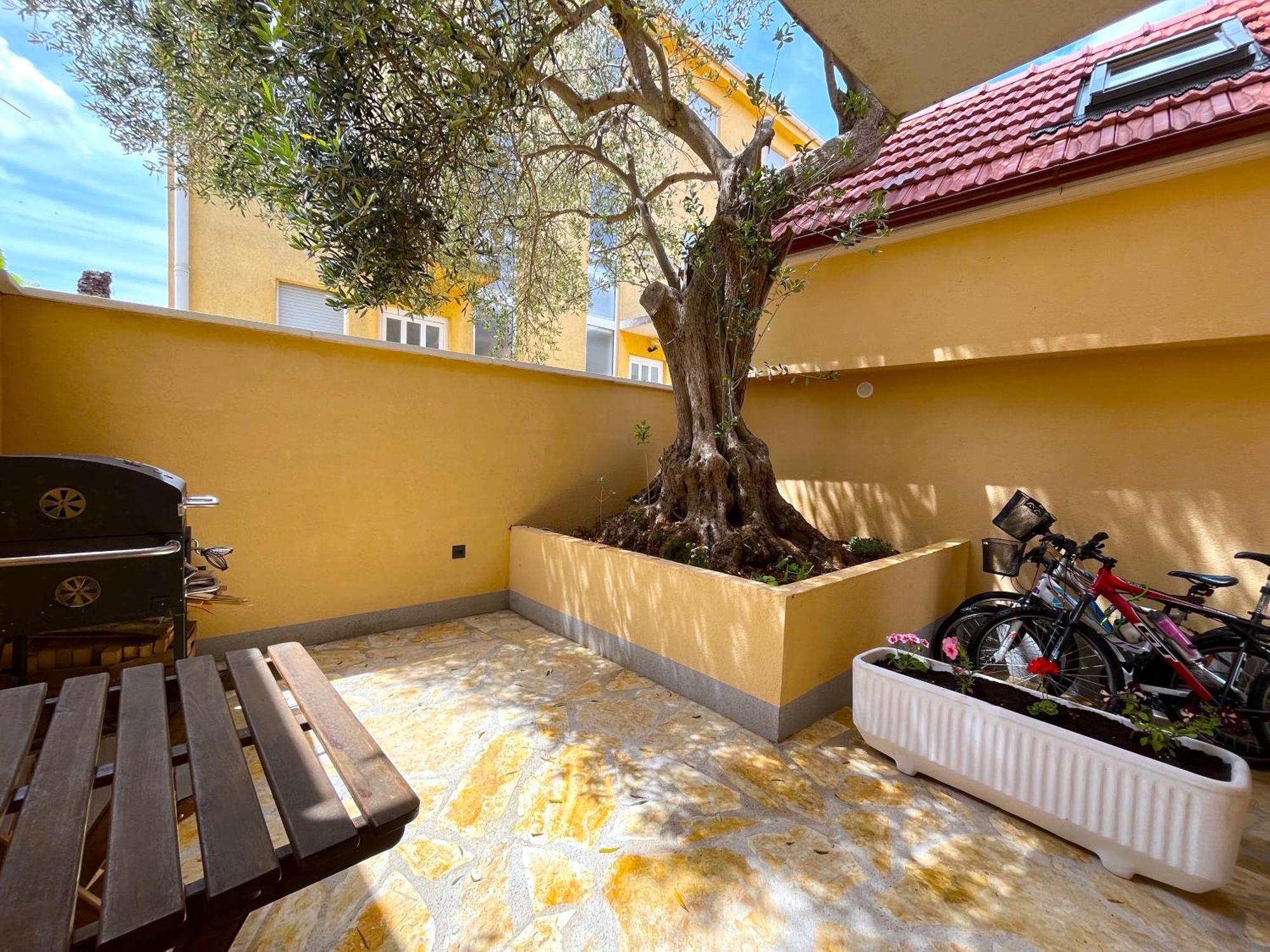 Olive Tree Διαμέρισμα Stari Grad  Εξωτερικό φωτογραφία